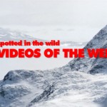 Videos Of The Week